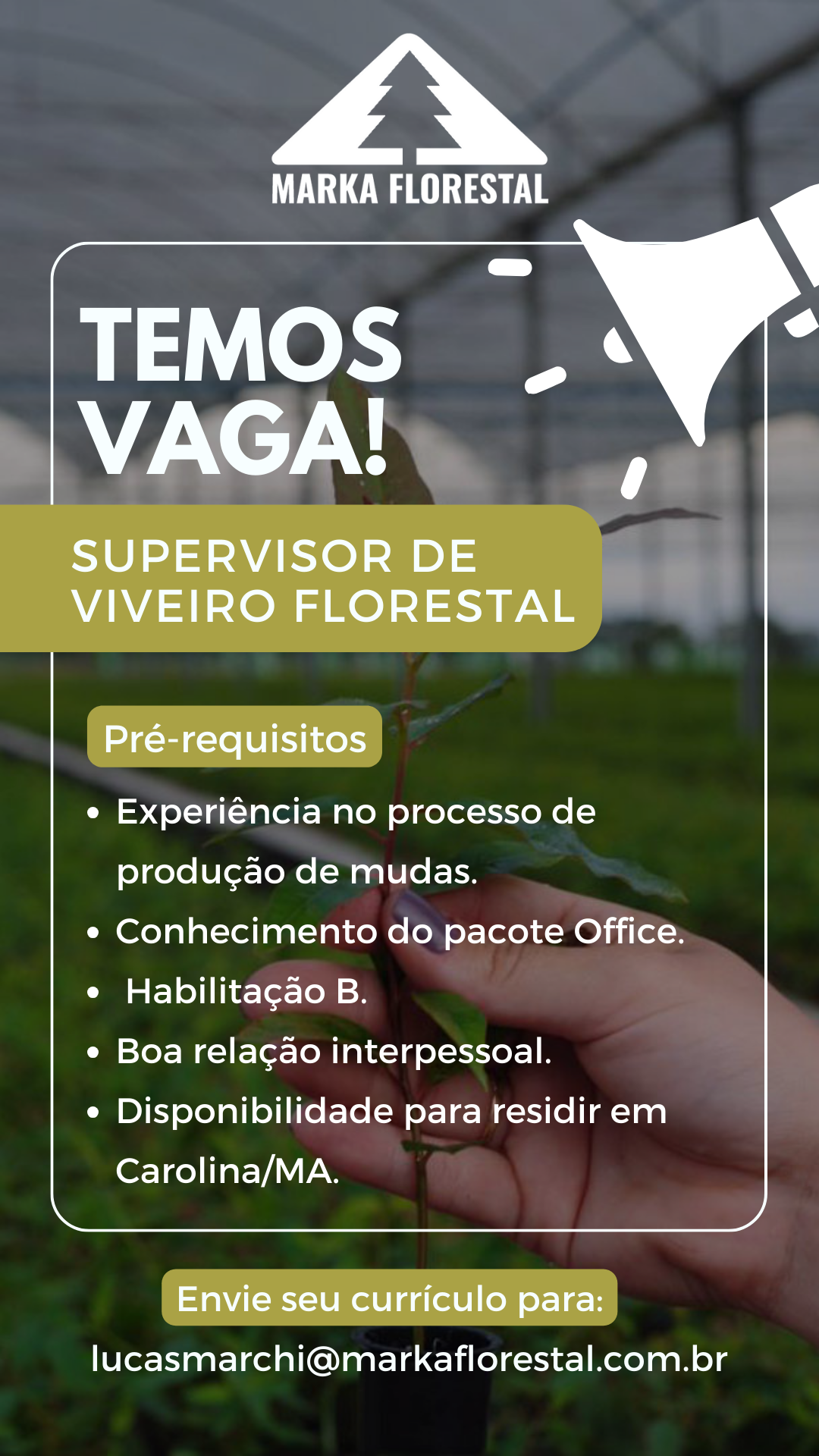 Vaga de emprego