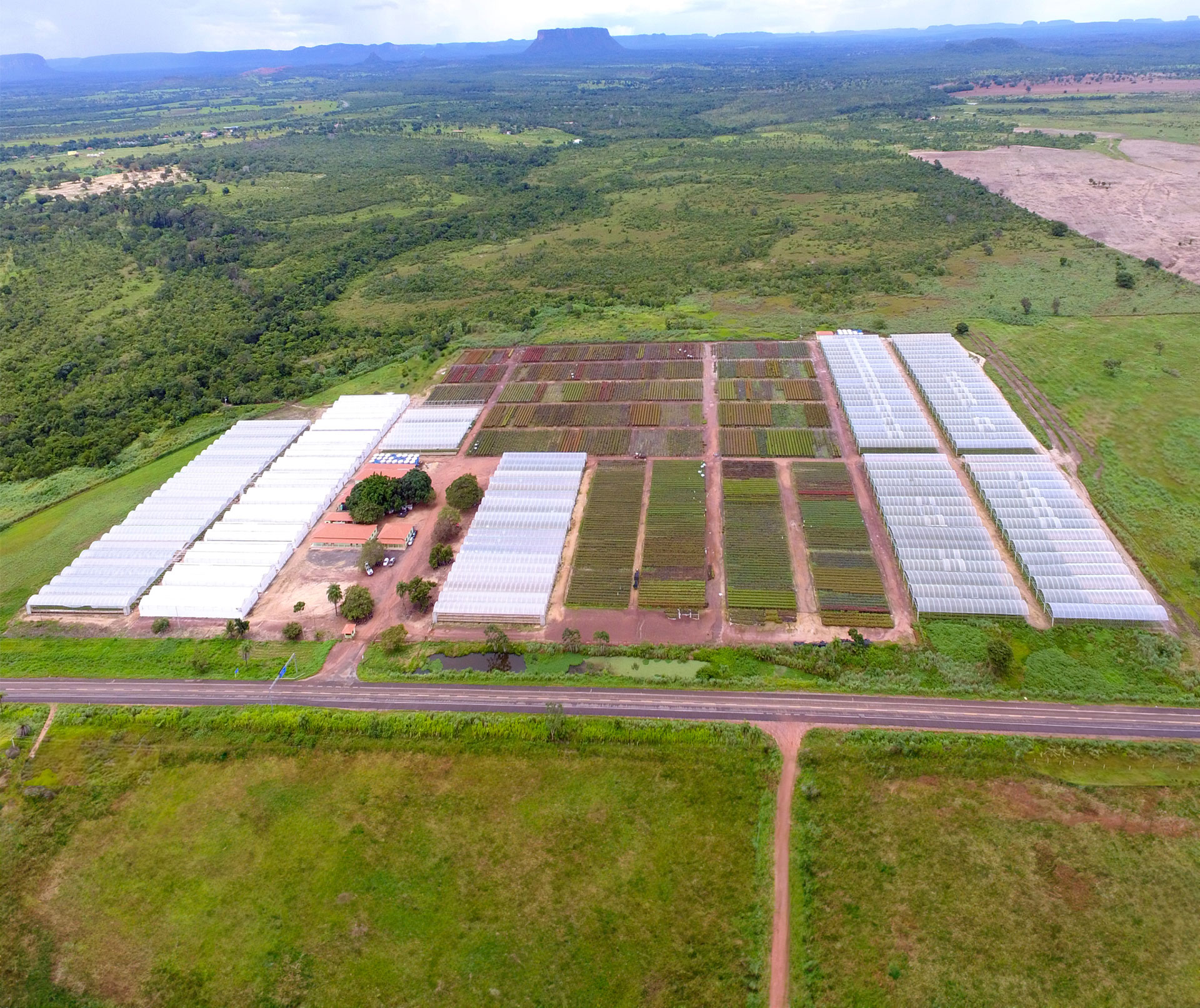 Marka Florestal Fazenda Boa Fé - Cidelândia (Filial)