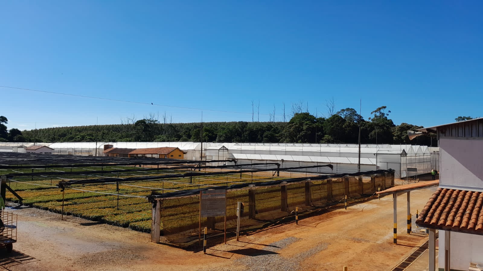 Marka Florestal - Capão Bonito (Filial)
